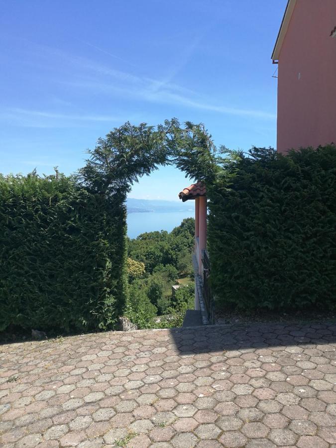 Uphill Apartment